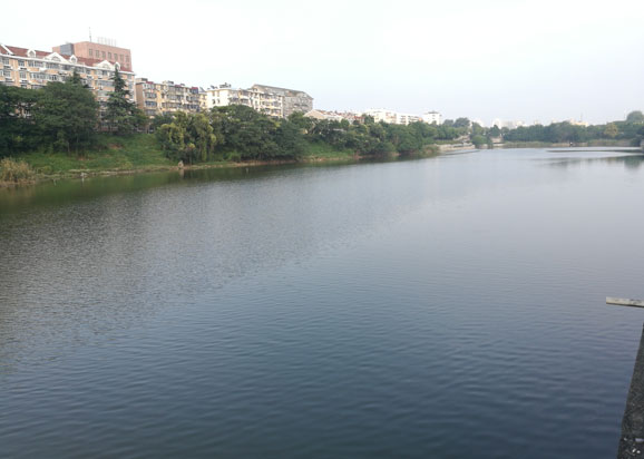 南京護(hù)城河西河藍(lán)藻治理示范工程