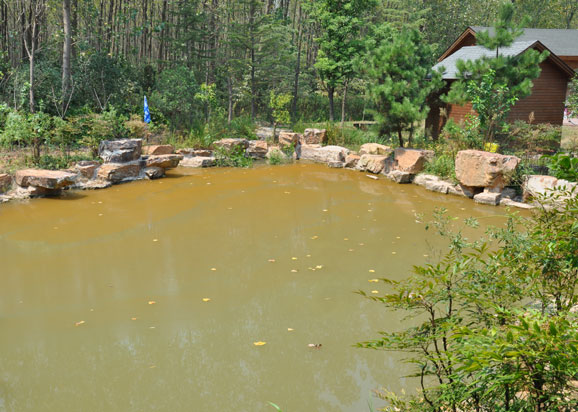 合肥濱湖濕地森林公園水污染應(yīng)急治理實(shí)驗(yàn)項(xiàng)目